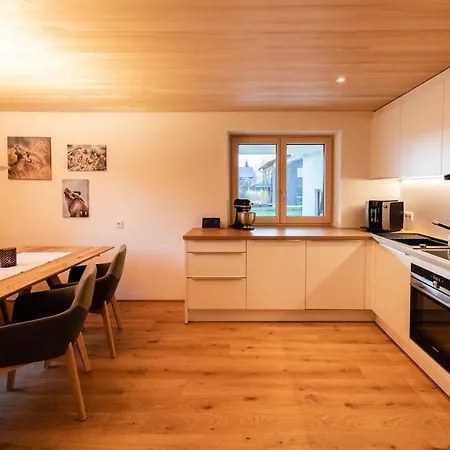 Apartment Haus Ruscher Schnepfau